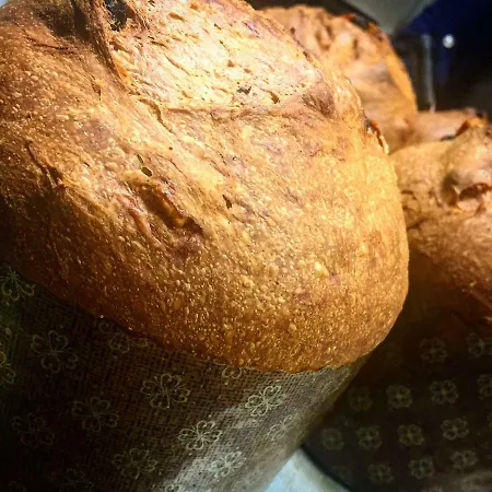 L'ospitale Dei Brilli Oda ve Kahvaltı